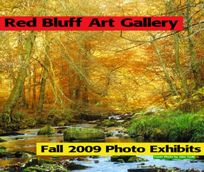 Red Bluff Art Gallery